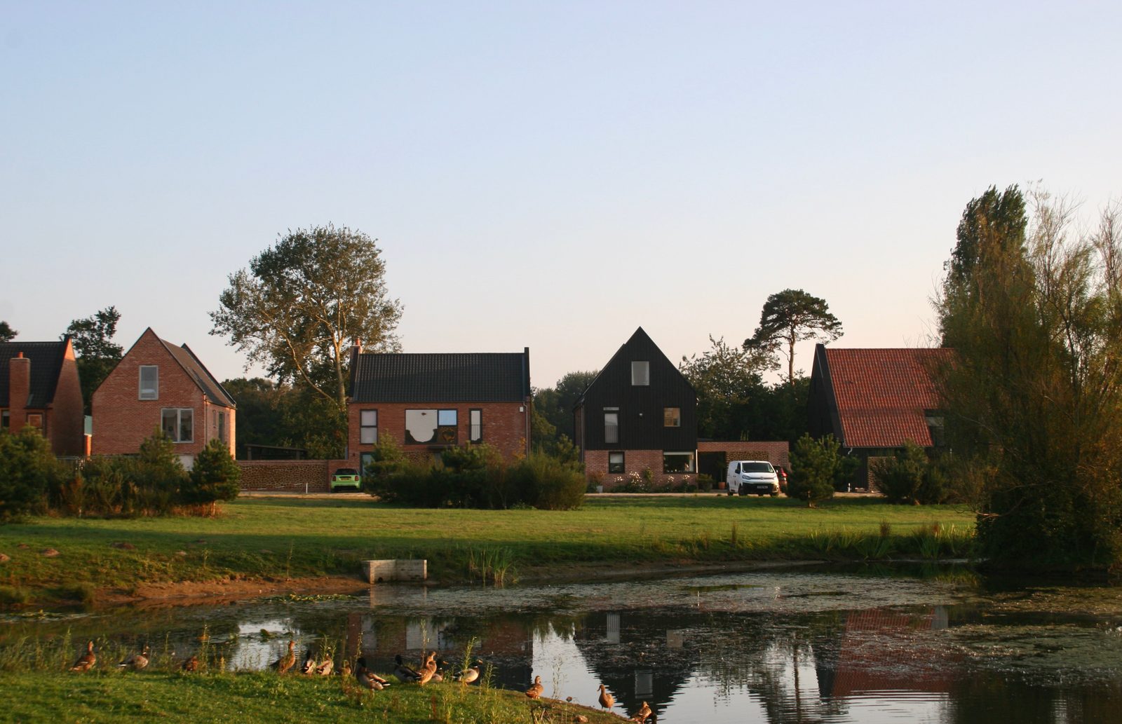New homes beside a village pond, part of a LIVEDIN self-build project